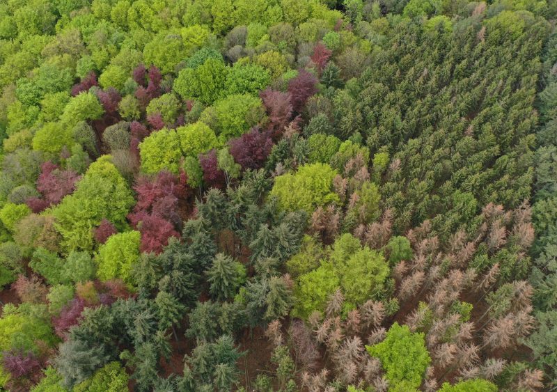 default Arboretums-copyright_C.-Cuvelier