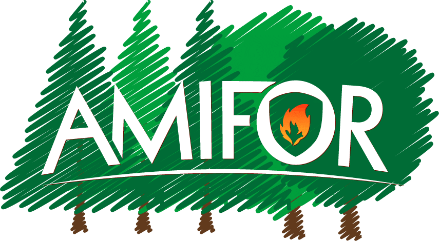 Amifor - assurances pour vos forêts