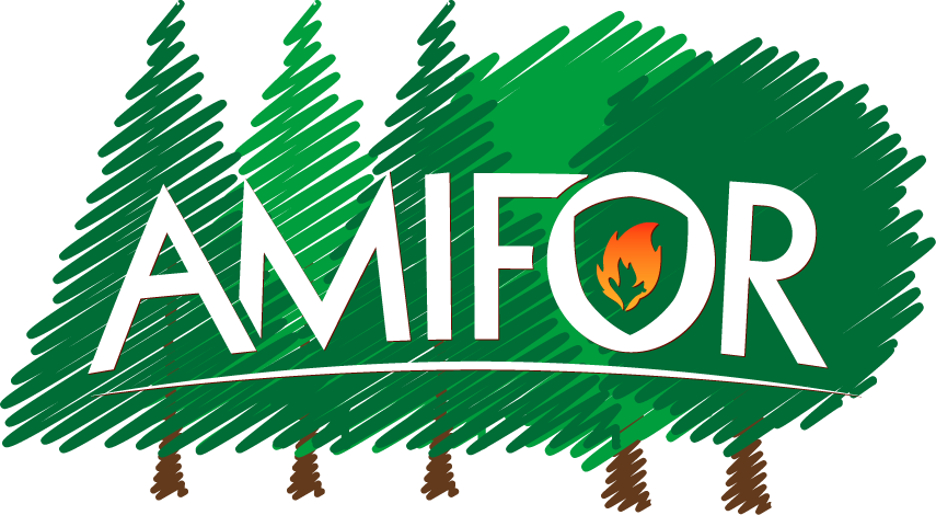 Amifor - verzekeringen voor uw bossen