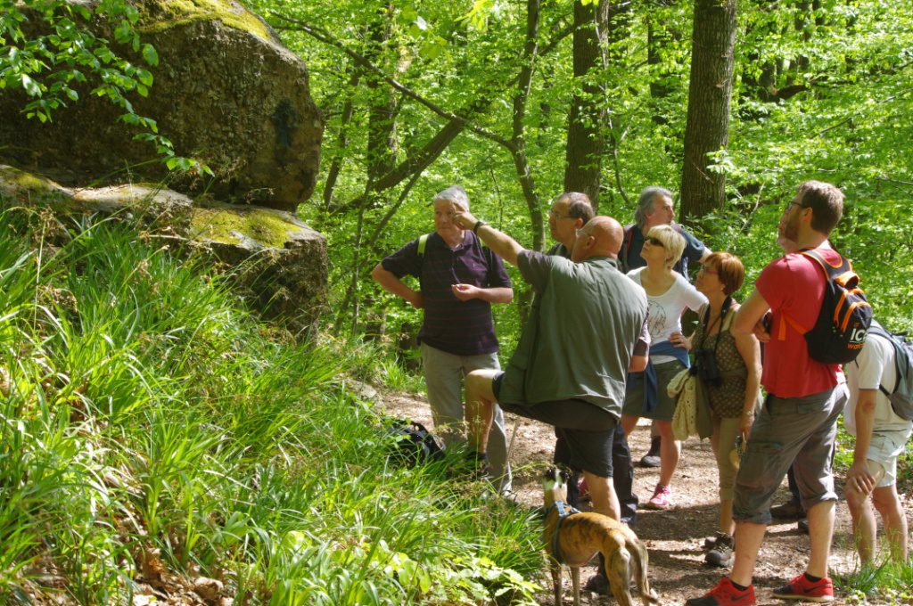 Balade_profondeville_Forest Friends