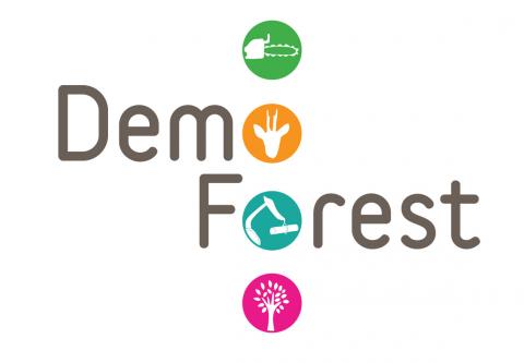 Demo Forest