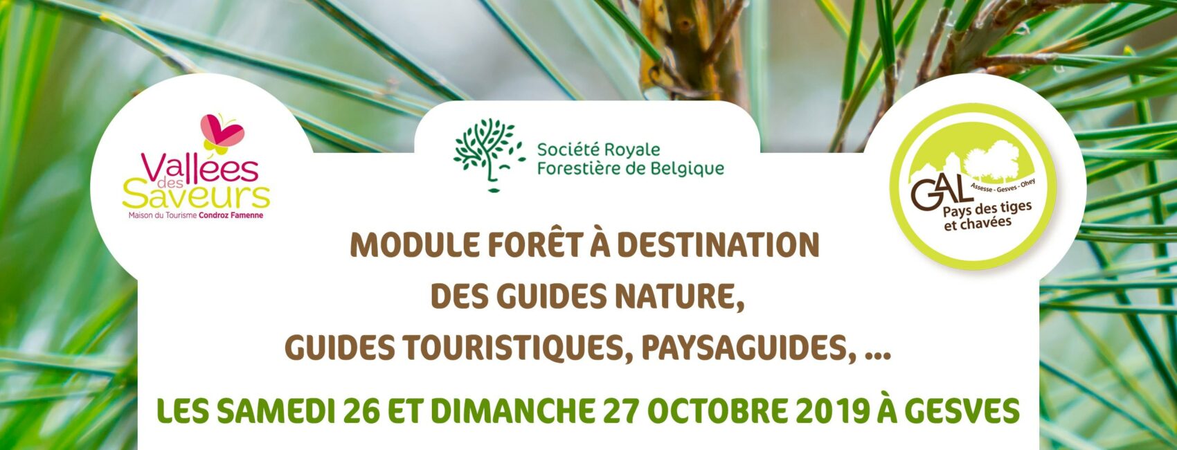 Module Forêt à destination des guides nature, guides touristiques, paysaguides...