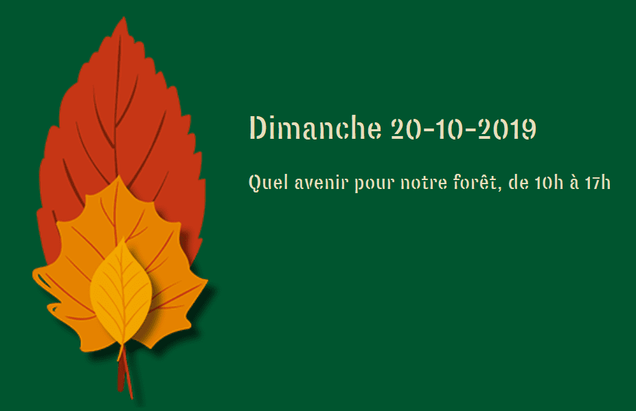 Retrouvez la SRFB à la Journée de la Forêt de Soignes