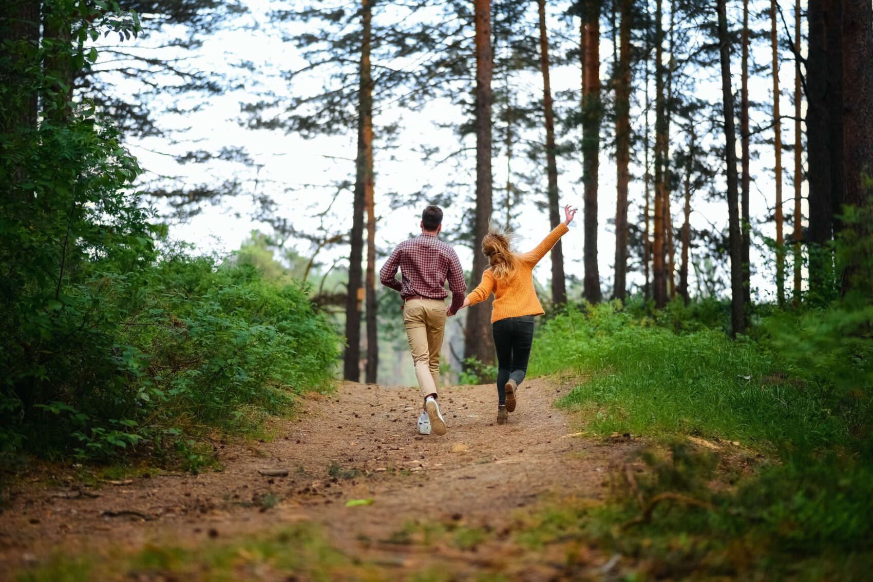 Balade guidée en forêt de Soignes – Groenendael