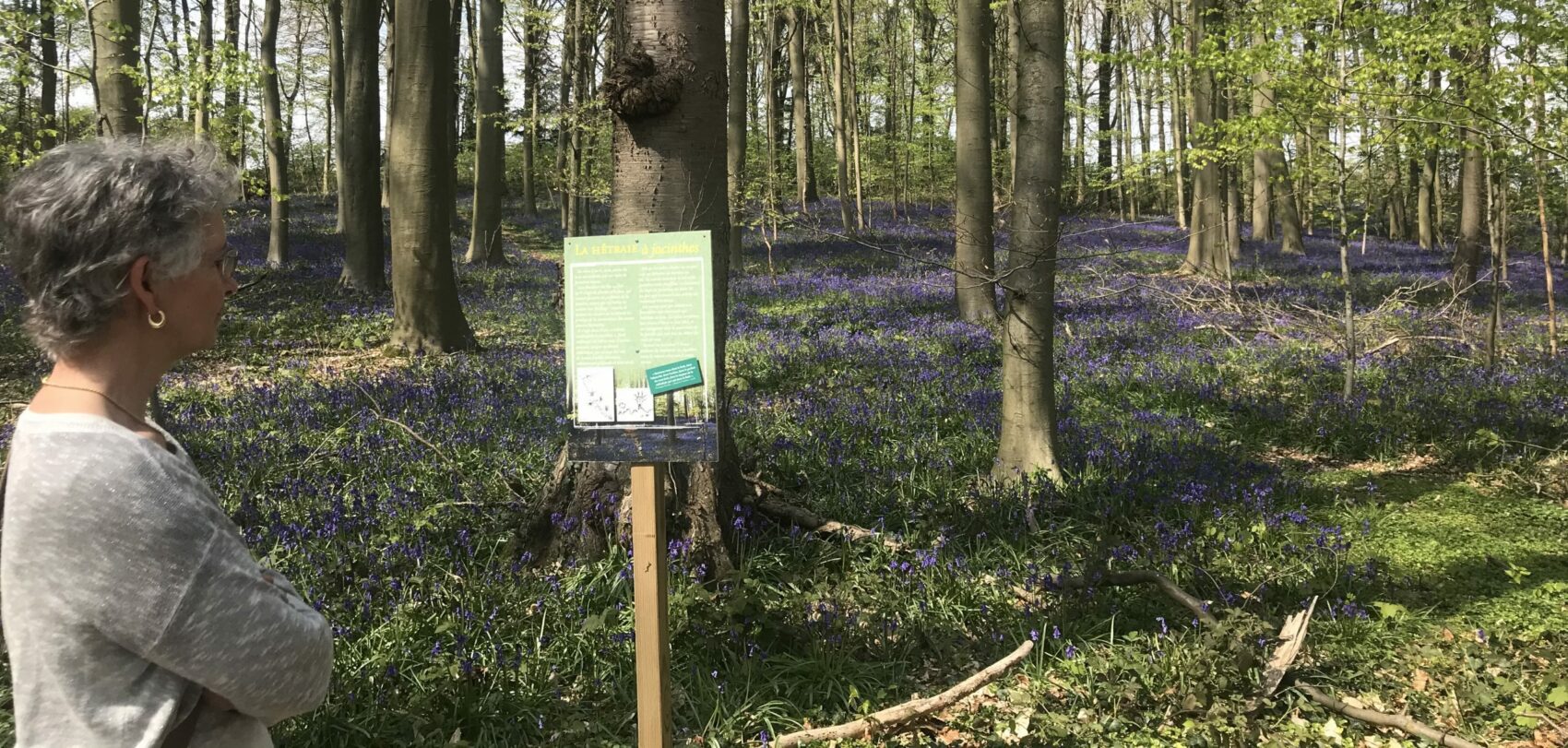 Rencontrons-nous autour de la forêt récréative et de la gestion durable