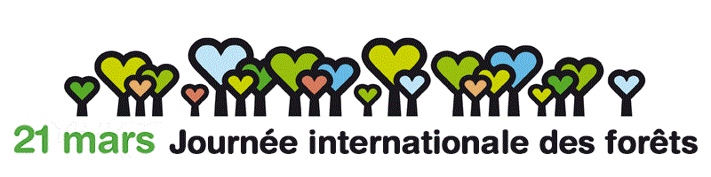 21 mars - Journée international des forêt