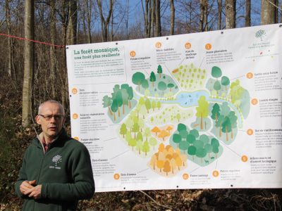 Philippe De Wouters explique la forêt mosaïque